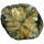 CHIASTOLIT / KŘÍŽOVÝ KÁMEN / ANDALUSIT / CHIASTOLITE, mocný ochranný kámen