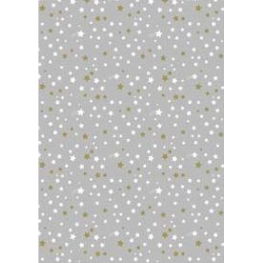 Ditipo Dárkový balicí papír 70 x 200 cm Vánoční stříbrný bílé a zlaté hvězdičky