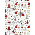 Ditipo Dárkový balicí papír 70 x 200 cm Vánoční bílý Santa sob stromečky