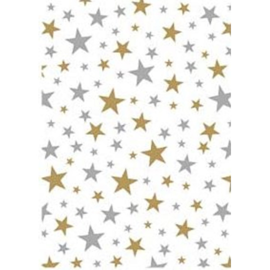 Ditipo Dárkový balicí papír 70 x 500 cm Bílý zlaté a stříbrné hvězdičky