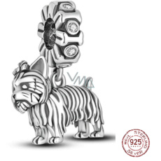 Charm Sterlingové stříbro 925 Jorkšírský teriér - Yorkie - pes, přívěsek na náramek zvíře
