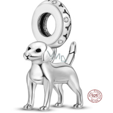 Charm Sterlingové stříbro 925 Labrador - pes, stojící, přívěsek na náramek, zvíře
