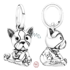 Charm Sterlingové stříbro 925 Francouzský buldoček - pes, přívěsek na náramek zvíře Charm Sterlingové stříbro 925 Francouzský buldoček - pes, přívěsek na náramek zvíře