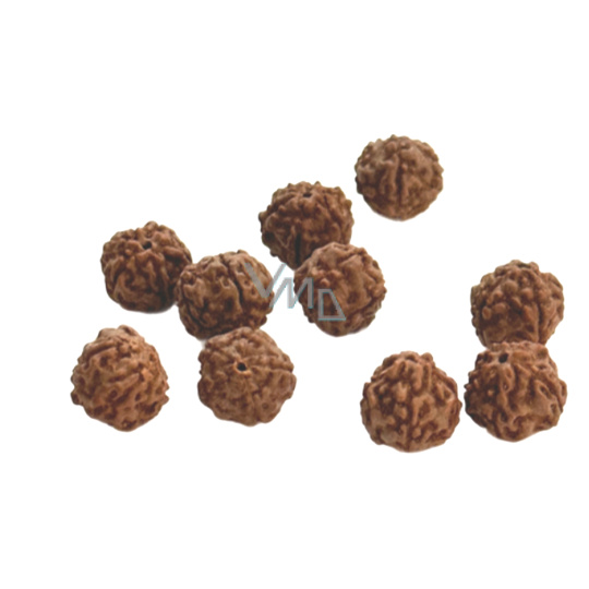 Rudraksha přírodní korálek 10 mm, 10 kusů Rudraksha přírodní korálek 10 mm, 10 kusů