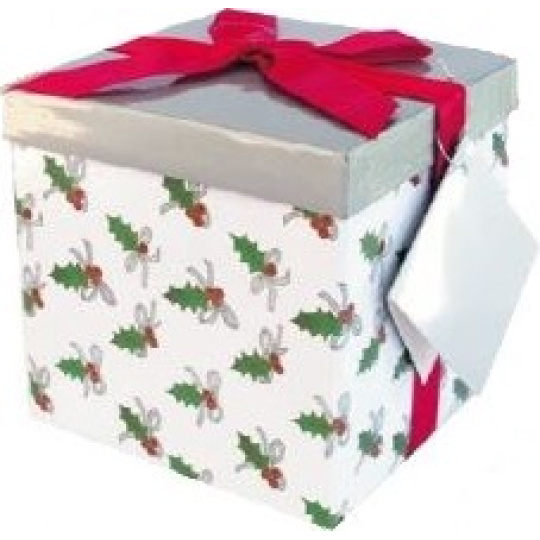Anděl Dárková krabička skládací s mašlí vánoční bílá s červenou mašlí 13 x 13 x 13 cm 1 kus