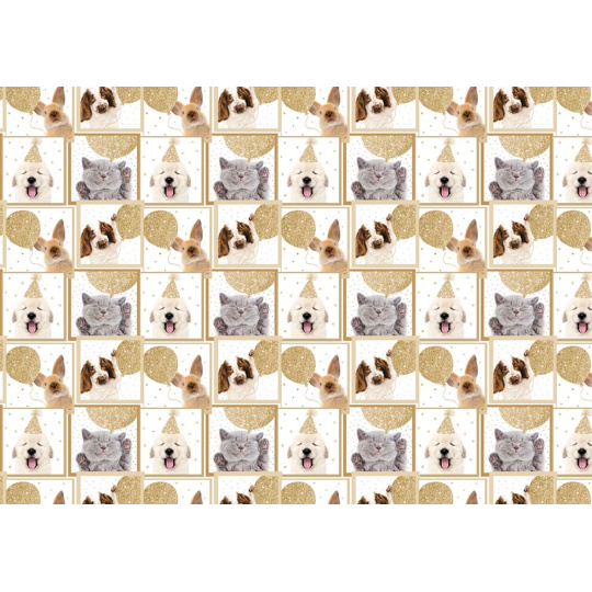 Ditipo Dárkový balicí papír 70 x 100 cm Pejsci a kočky 2 archy
