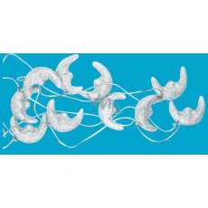 Řetěz měsíc se stříbrnými glitry 180 cm Řetěz měsíc se stříbrnými glitry 180 cm