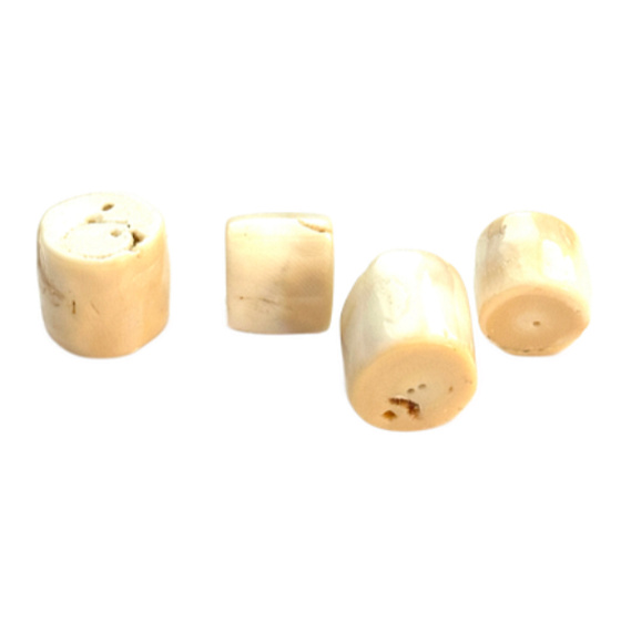 Korál přírodní mořský přírodní kámen 20 - 25 mm 1 kus