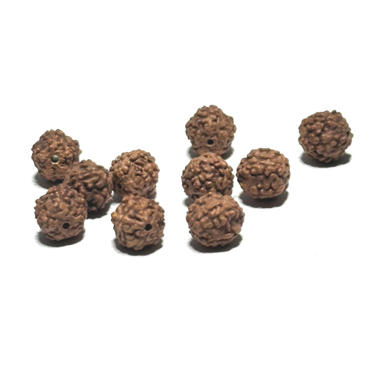 Rudraksha naturalny koralik 8 mm, 10 sztuk Rudraksha naturalny koralik 8 mm, 10 sztuk