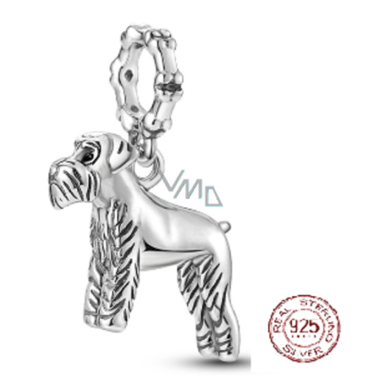 Charm Sterlingové stříbro 925 Pes - Irský teriér, přívěsek na náramek zvíře Charm Sterlingové stříbro 925 Pes - Irský teriér, přívěsek na náramek zvíře
