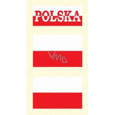 Arch Tetovací obtisky na obličej i tělo Polsko různé motiv Arch Tetovací obtisky na obličej i tělo Polsko různé motiv