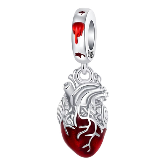 Anatomická biologie Srdce – síla emocí a odvahy, stříbrný 925 přívěsek na náramek