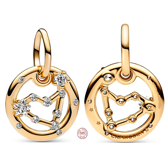 Charm Pozlacené znamení zvěrokruhu Kozoroh, přívěsek na náramek