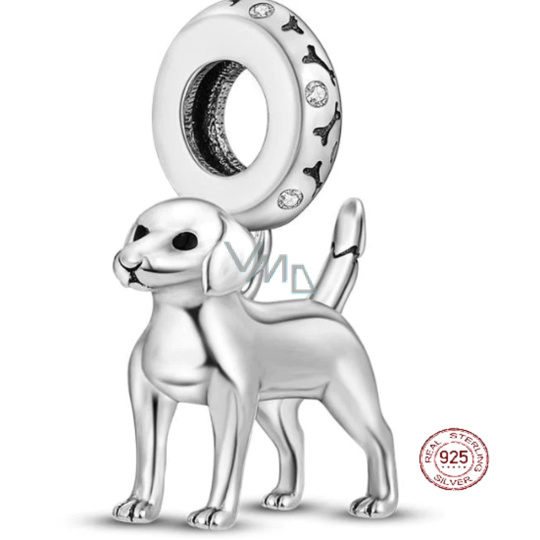 Charm Sterlingové stříbro 925 Labrador - pes, stojící, přívěsek na náramek, zvíře