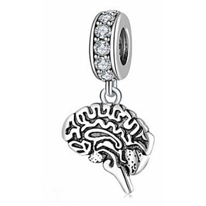 Charm Anatomická biologie - Mozek – síla mysli, inteligence a kreativita, přívěsek na náramek, symbol