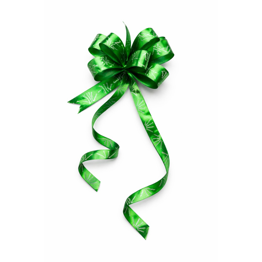 Kokarda stuha stahovací ozdobná zelená s lozem Garnier 50 cm
