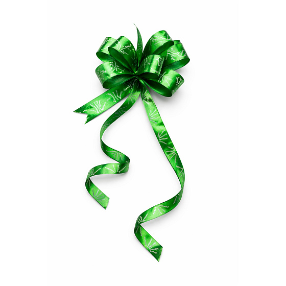 Kokarda stuha stahovací ozdobná zelená s lozem Garnier 50 cm