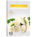 Bispol Aura Blooming Jasmine - Kvetoucí jasmín vonné čajové svíčky 6 kusů