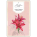 Bohemia Gifts Aromatická vonná karta Červené květiny jemná a čistá vůně 10,5 x 16 cm