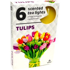 Tea Lights Tulipán vonné čajové svíčky 6 kusů