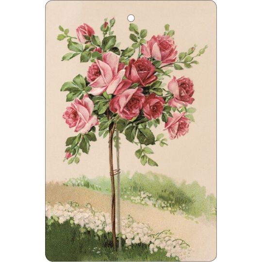 Bohemia Gifts Aromatická vonná karta Růže 10,5 x 16 cm