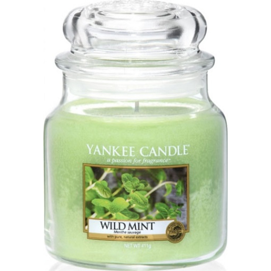 Yankee Candle Wild Mint - Divoká máta vonná svíčka Classic střední sklo 411 g