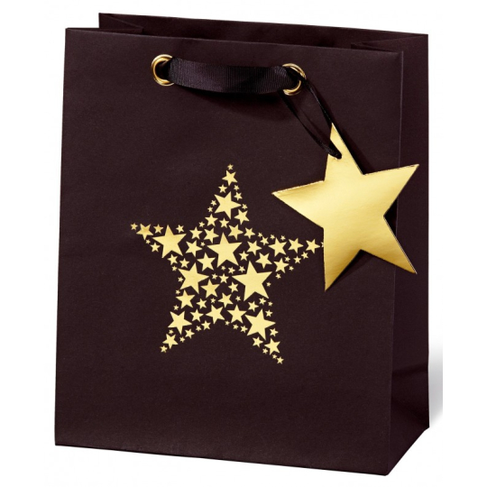 BSB Luxusní dárková papírová taška 23 x 19 x 9 cm Vánoční Star Festival VDT 417 - A5