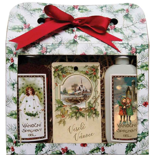 Bohemia Gifts Veselé Vánoce Vánoční sprchový gel 2 x 100 ml + jablko a skořice vonná karta 11 x 6,3 cm, kosmetická sada