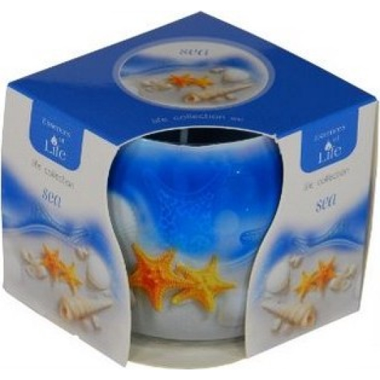 Essences of Life Sea aromatická svíčka ve skle 100 g