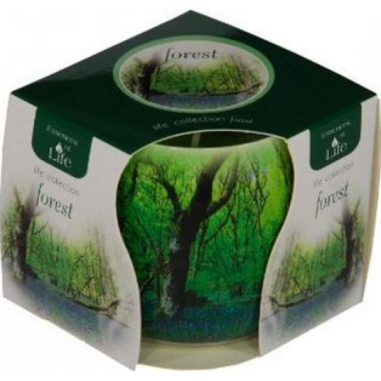 Essences of Life Forest aromatická svíčka ve skle 100 g