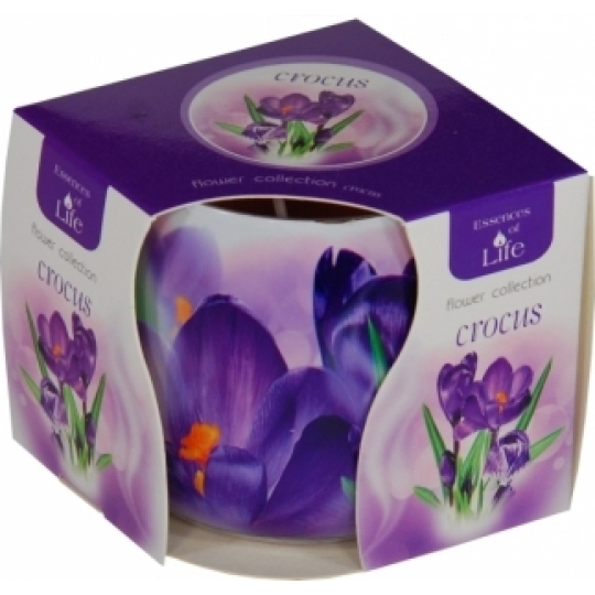 Essences of Life Krokus aromatická svíčka ve skle 100 g