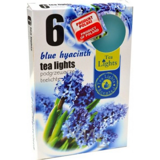 Tea Lights Modrý Hyacint vonné čajové svíčky 6 kusů