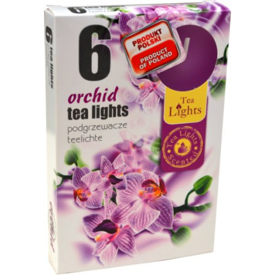 Tea Lights Orchid vonné čajové svíčky 6 kusů
