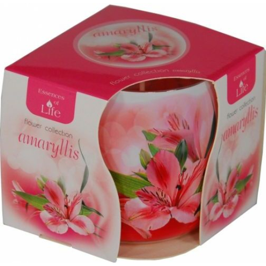 Essences of Life Amaryllis aromatická svíčka ve skle 100 g
